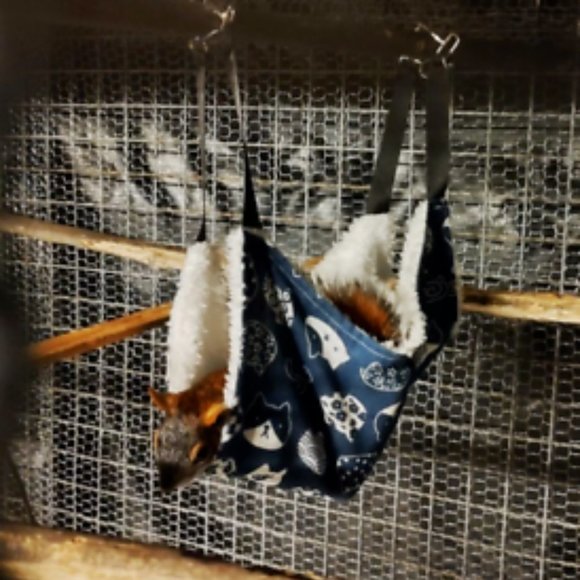 Lot of 9 Cat Hammocks XL Small Pets Cage Lounge Lizards Bearded Dragon Bed - Picture 15 of 15